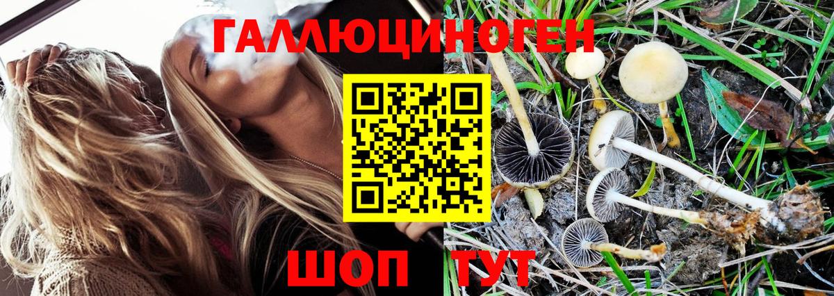 Галлюциногенные грибы Magic Shrooms  Вход с VPN  Кирово-Чепецк 